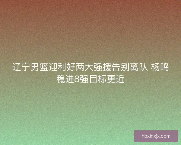 辽宁男篮迎利好两大强援告别离队 杨鸣稳进8强目标更近